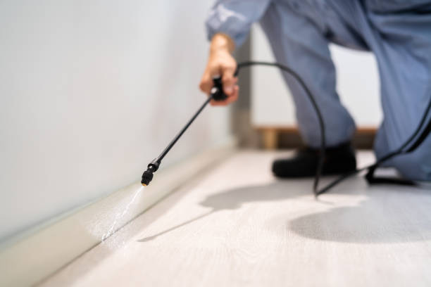 Licensed Exterminator service in Fairchild AFB, WA - Show Me Pest Control