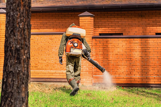Top rated local Ant Control specialists in Fairchild AFB, WA